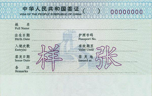 中国发放“R字签证”吸引海归及外国人才