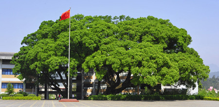 龙岩学院校园风光