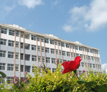 ɽ�������ְҵѧԺУ԰���ͼƬ