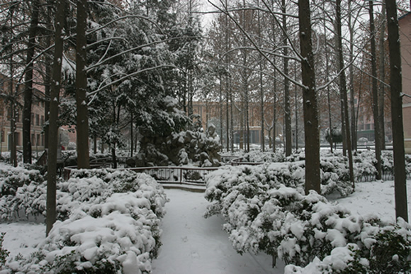 ������ҵ��ѧУ԰���10