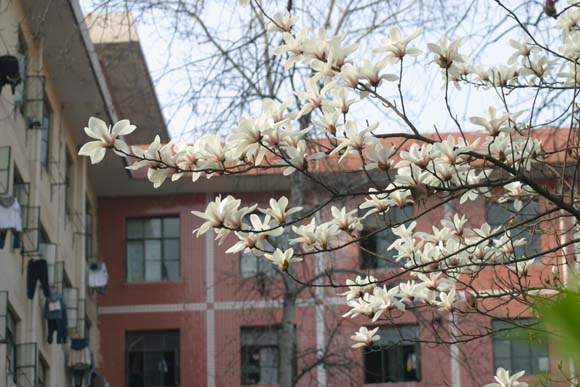 ������ҵ��ѧУ԰���9