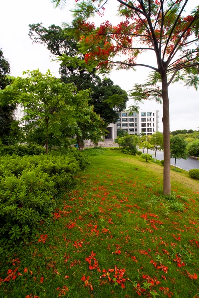 ��������ѧԺУ԰һ��