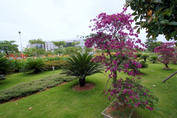 ��������ѧԺУ԰һ��