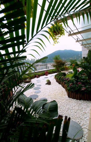 ��������ѧԺУ԰һ��