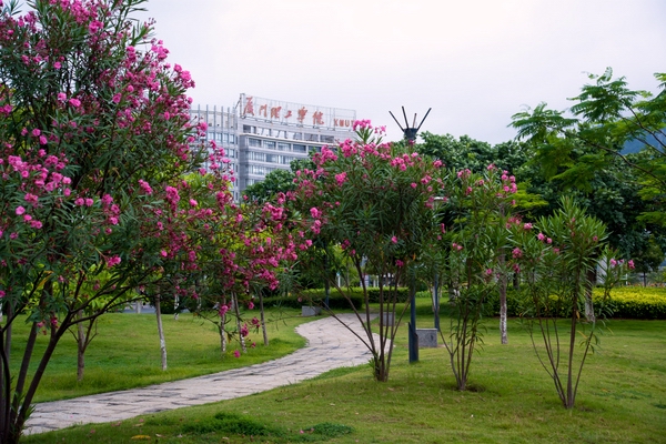 ��������ѧԺУ԰һ��